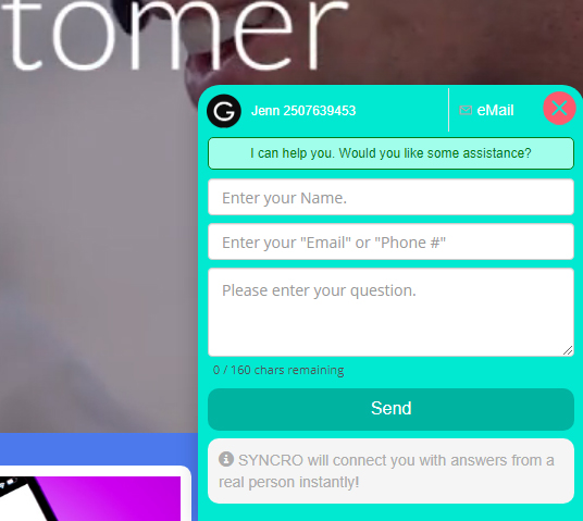 Live Chat Interface